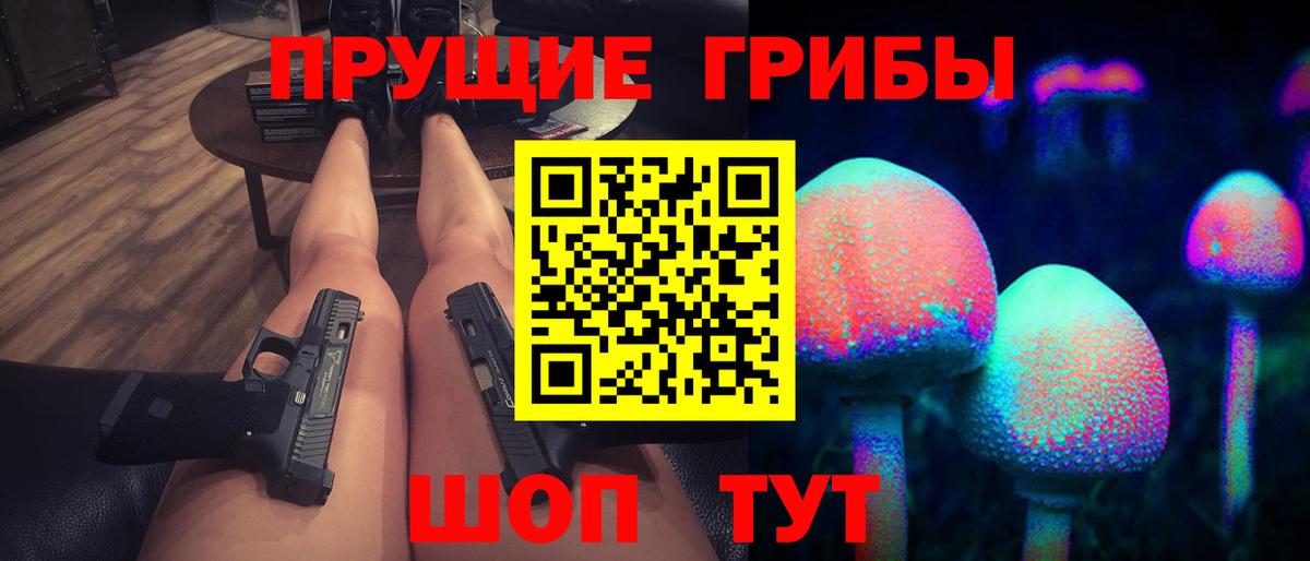Галлюциногенные грибы Psilocybine cubensis Черкесск