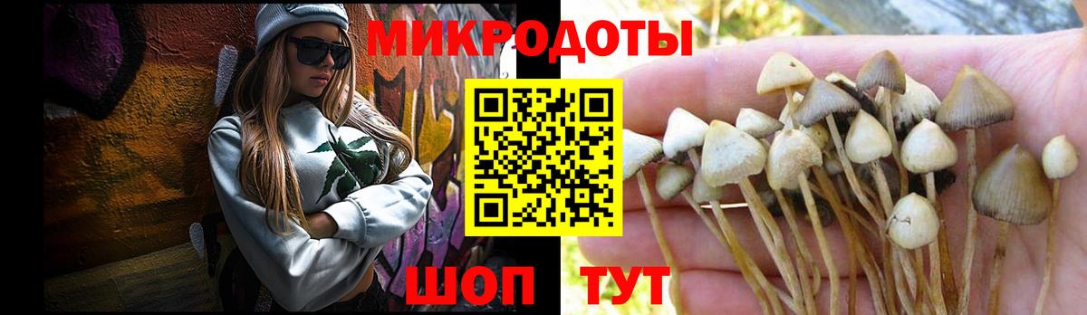 Галлюциногенные грибы Cubensis  Вход с VPN  Черкесск 